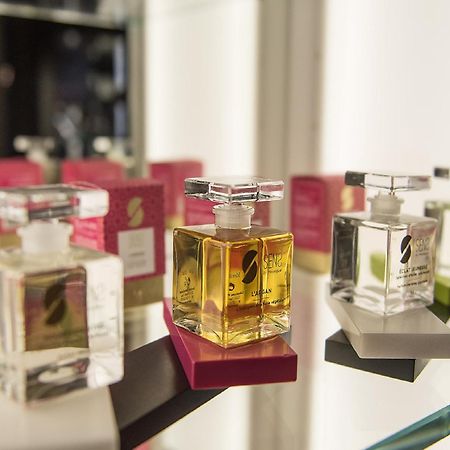 Le Stelsia Resort Saint-Sylvestre-sur-Lot エクステリア 写真